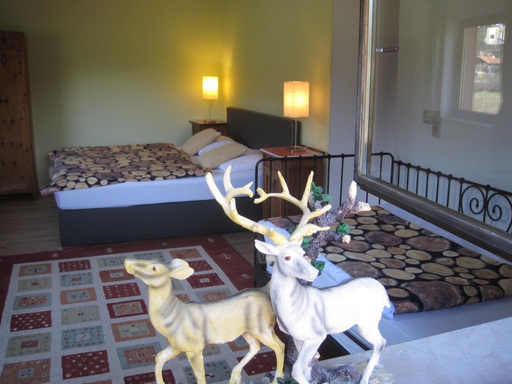 The Art & Sport Hotel Innsbruck Esterno foto